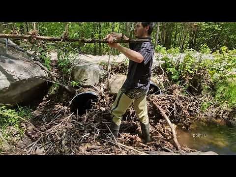Removing Double Blockage That Almost Washed Out The Road Completely
