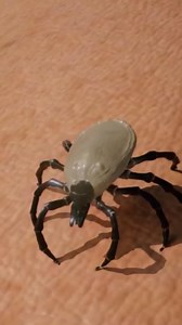 "How Much Blood Can a Tick Drink Before It Explodes?" #AmazingFacts #ScienceFacts #TickFacts #WeirdNature #ExplodingTick #MindBlowing #NatureIsCrazy #FunFacts #DidYouKnow #LeechFacts | Journey To The Universe