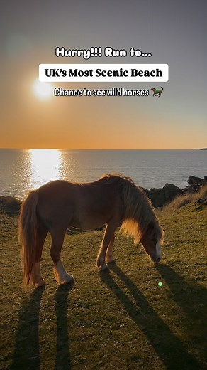 Kanwal | Explorer & Creator 🌎 on Instagram: "Most Scenic Beach in Wales 🏴󠁧󠁢󠁷󠁬󠁳󠁿 Discover the magic of Llanddwyn Beach, Anglesey’s hidden gem! 🌊 With sweeping views, soft sands, and the iconic Llanddwyn Island lighthouse, it’s a coastal dream you have to experience. Here is how you can visit 📍Llanddwyn Beach, Anglesey 🅿️Park at Newborough Forest Car Park (LL61 6SG) — just a short scenic walk to the beach. 💰Parking Fee: £2 for the first 2 hours / £7 all day (card/contactless accepted).