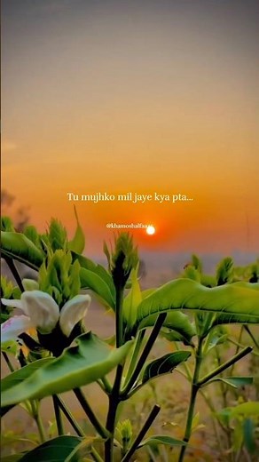 Dil Sambhal Ja Zara Lyrics | Arijit Singh | Full Song Lyrics Video 💔 #newshorts #lyricsvideo #love