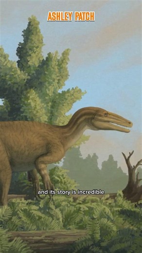 Australia’s Most Fearsome Dinosaur Unearthed #dinosaur
