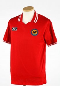 Japan 1991 Home Kit