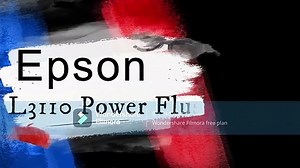 Epson L3110 power flush
