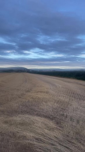 Adam Killen on TikTok