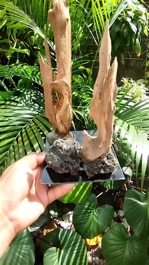 Hardscape #QuickSilverAquayard #aquariumhobby #aquascape | QuickSilver Aquayard | Facebook