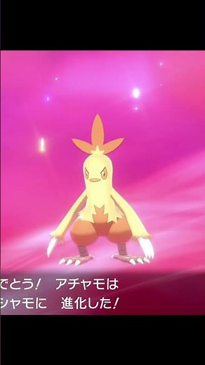 pokemon evolution torchic Combusken Blaziken #shorts