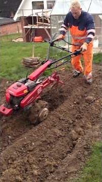 Honda f560 m pflug vari pluh Ploughing ploeg pflüg Arado orka Szántás çan Aração