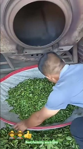 How to make green tea : Easy to make