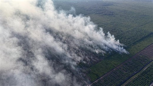 Smoke Curls Over Scorched Earth, Rising Toward the Sky Stock Footage - Video of wild, smoke: 453004160