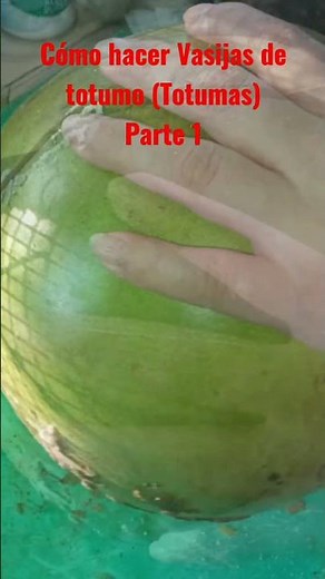 How to make totumo pots, totumas part 1