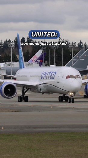 Passenger Attacks Flight Attendant on United Flight: What Happened
