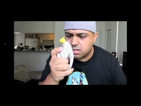 Dashie bop it but is censored cursed word