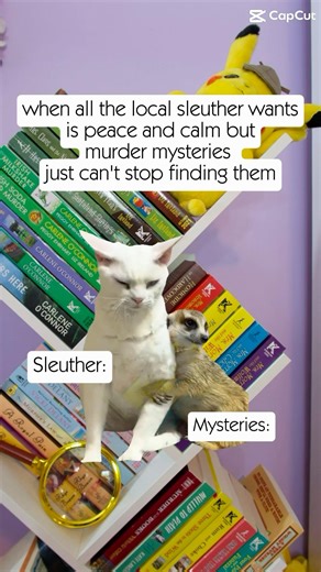 The Mysteries Keep Finding Me