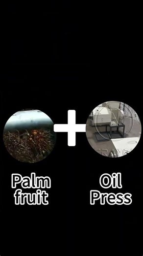 The pressing method of palm oil #machine #oilexpeller #expeller