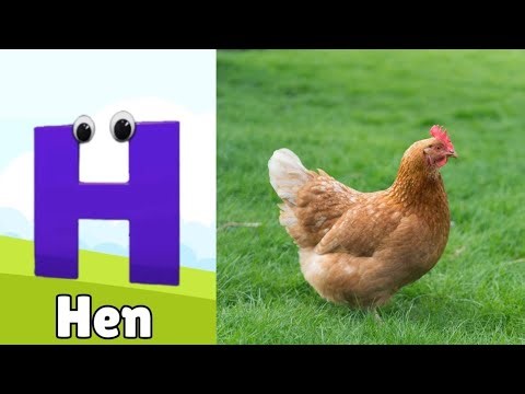 Birds Alphabet Song | ABC Safari Animals 18TH2858 | Nursery Rhyme for Kids | FT Kids Show