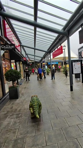 Caught by Security at the Shopping Centre