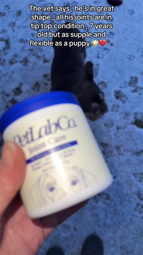 Petlab Co joint care for dogs , dog supplements for strong flexible joints #dogtreats #healthydog #happydog #dogtreats #dogsupplies
