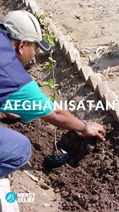 Since 2003, Mercy Relief has benefited 28 countries worldwide, with more to come. Join us in supporting our global relief efforts to reach even more communities in need. To donate, click on this link: https://www.giving.sg/donate/campaign/mercy-relief-impact-fund-2024 Every amount counts #MercyRelief #DonateNow #DisasterPreparedness #DisasterReduction #DisasterRelief #FundraisingEfforts #HumanitarianAid #ImpactFund #SustainableProjects #VulnerableCommunities | Mercy Relief | Facebook