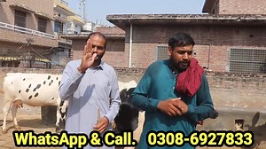 Farming And Business Ideas on Reels