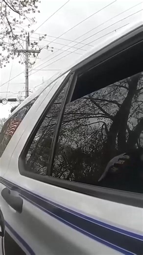 Just Taking a Walk, Then Cops Detain Him! WTF?! #police #cops | We The People University