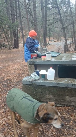 Video of Cherry Creek Campground, NM from Vidalia S.