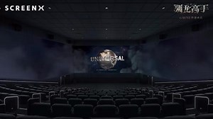 新驯龙高手有screenx版本的吗