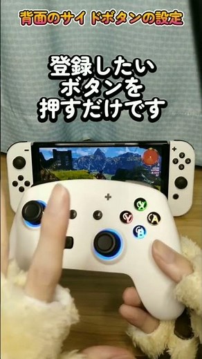 How to set up the back buttons on a cheap, illuminated Pro Controller [ECHTPower] [Switch]