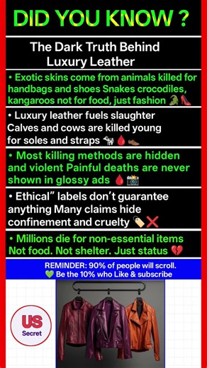 The Dark Side of Luxury Leather Exposed 🐍💼