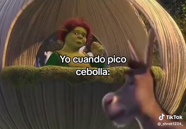 #shrek #humor #parati #foryou #fyp #fypviral #fypviralシ #fypp