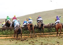 Heavyweight jockeys star at Taunton Vale point-to-point - Horse & Hound