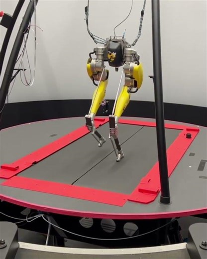How This Biped Robot Adapts in Real Time