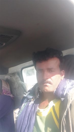 kando jan (@kando.jan)’s videos with original sound - ✭࿇𝐒𝐀𝐑𝐖𝐀𝐑=𝐁𝐑𝐎𝐇𝐈࿇✭