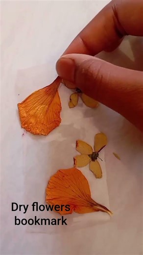 #cute dry flowers bookmark 🔖#very easy #diy
