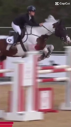 8th overall for the queen jumping 1.40🚀💗