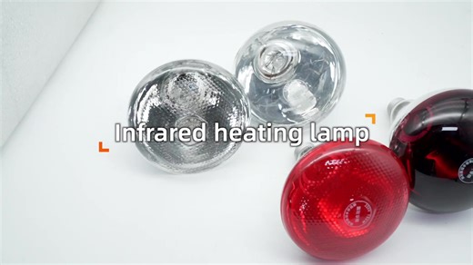 White Pitted Waterproof Infrared Heat Lamp Breeding Bulb 100W/150W/200W/250W Pet Brooder Hatch Chicken Pig Heating Lamp