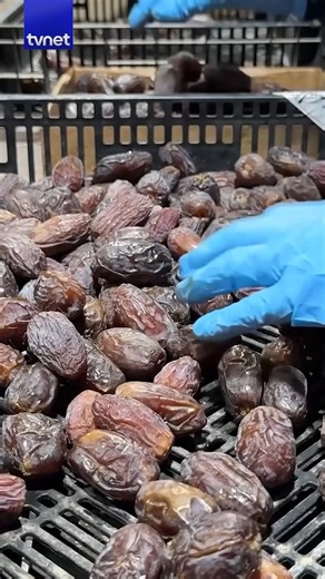 İsrail'in işgal altındaki Batı Şeria'da gasbedilen Filistin topraklarında ürettiği hurmalar, Filistin ürünü olarak pazarlara sürülüyor. Hurma satın alırken barkodlarının dikkatlice incelenmesi gerekiyor. Filistinli üreticiler, üzerinde hem 'Filistin ürünü' ibaresi hem de Filistin bayrağı taşıyan 625 numaralı Ürdün barkodunu kullanarak ihraç ediyor. | TVNET