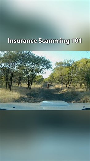 16K views · 223 reactions | Typical insurance scam 郎 #dashcam #dashcamvideos #dashcamera | FalconEye Dash Cam | Facebook