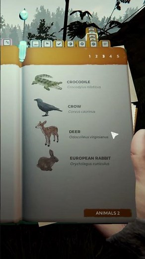 The Forest's RAREST Achievement "Trophy Hunter" UNLOCK Guide #TheForestGame #Shorts