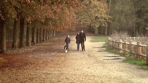 « It has already helped me find my dog that had went off for a litte walk on her own. I feel much more safe letting the dog outside now. » - Bjørn-Erik (Trustpilot comment) Get it now: goo.gl/YsVUoK | Weenect