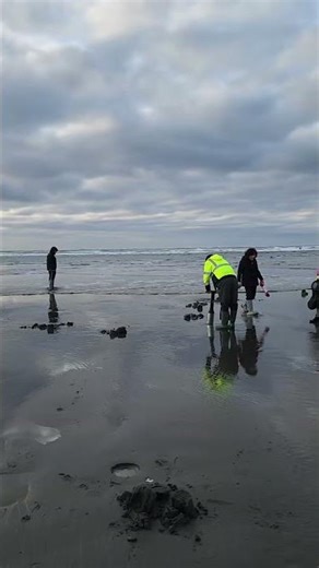 Razer Clam Digging 12/2/2025