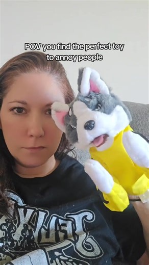 Get ready for a paw-some adventure with our Husky Boxing Interactive Hand Puppet toy!  Join the furry fun and create endless memories with this lovable puppet. #PuppetAdventure #FurryFriend #husky #kungfu #cute #dog #play #funny #funnyvideo #crazy #trainingday https://www.reforment.com/products/kung-fu-husky-punching-puppet | Reforment | Facebook