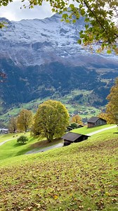 174K views · 10K reactions | Autumn walk | Patchara Photography | Facebook