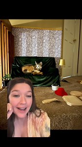 111K views · 3.2K reactions | Using mod podge to put Tilly’s photos on her gallery wall! | Holly Auna | Facebook