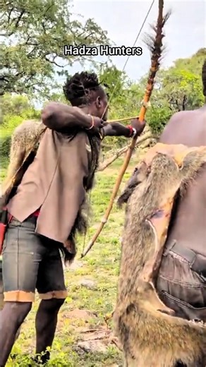 The Prey Was Huge... THE TIGER'S STRENGTH | Bush Awareness! #shorts #viral #africa #wildlife