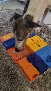 Les plateaux de réflexion modulables Pawzler