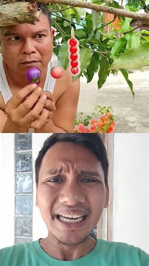 What Fruit Is That? #funny #shortsvideo #trendingshorts #viralshorts #fyp