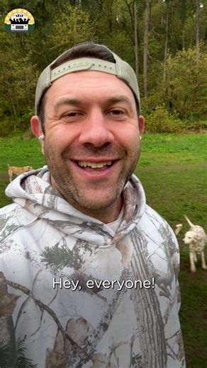 Pack dynamics play a huge role in deciding which dogs we bring into the group. There's a reason for everything we do 💚 | The Asher House