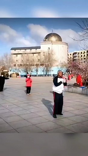 ☯️ Shifu Li Dechang realizando la forma 42 Yang del estilo Yang. ☯️ Shifu Li Dechang performing the 42 Yang form of the Yang style. #taichi #TaichiArzak #Qigong #kungfu #shaolin #salud #meditacion #viajar #health #travel #artesmarciales | Taichi Arzak
