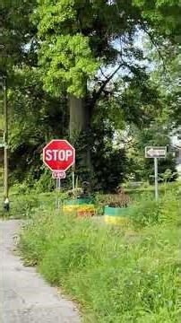 Throwback#thestoryteller #STL Louis