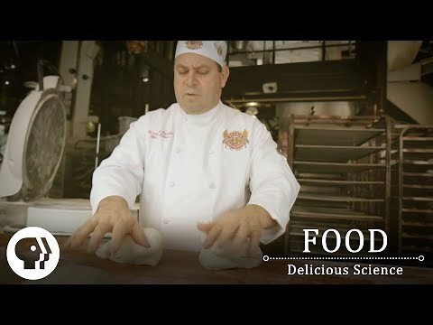 FOOD - DELICIOUS SCIENCE | Kneading Bread For The Perfect Rise | PBS Food